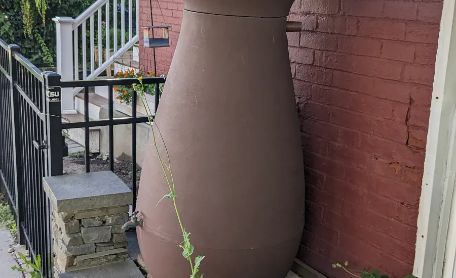 Regentonne am Fallrohr eines Wohnhauses – Regenwasser im Garten nutzen